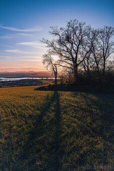 Samyang EF-M MF 14mm f/2,8 mk2 - 2