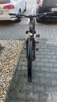 CTM CHARISMA 3.0 29 veľS - matná tmavoružová perleť / šedá - 2