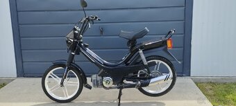 Manet korado - 2