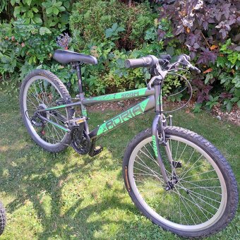 Bicykle - 2