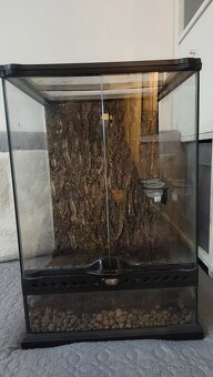 Terarium - 2
