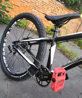 Specialized Custom Dirt - 2