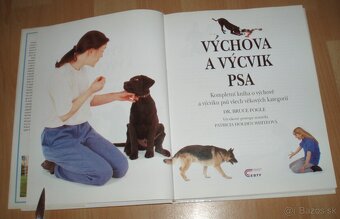 Výchova a výcvik psa - 2