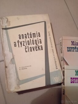 Anatomia a fyziologia cloveka - 2