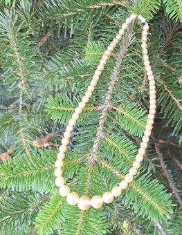 KRÁSNY STARÝ NÁHRDELNÍK - 2