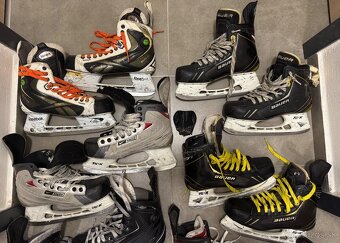 PREDAM SENIOR KORCULE - 2