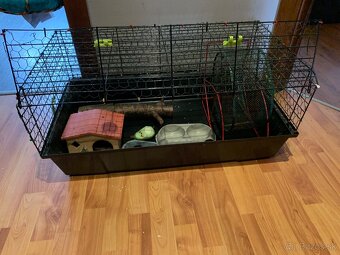 klietka pre hlodavce - 2
