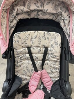 PETITE&MARS ROYAL3 - 2