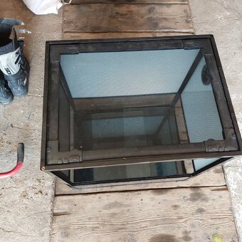 Terarium - 2