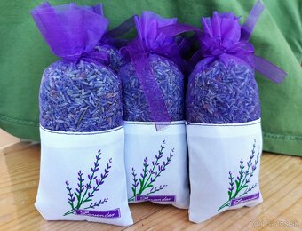 Levandula - 2