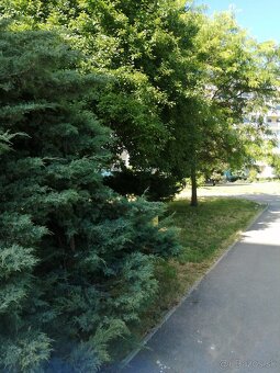 2IZB UPROSTRED ZELENE KOŠICE-ZÁPAD TERASA - 2