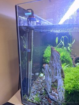 Akvárium - 2