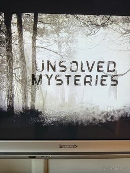 Plazmovy televizor PANASONIC VIERA - 2