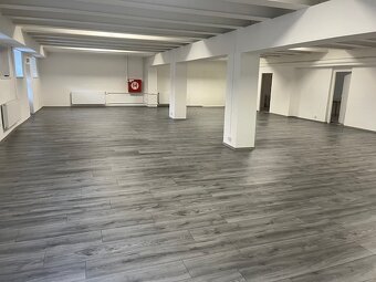 Prenájom priestor Nitra, centrum mesta jóga, cvičenia... - 2
