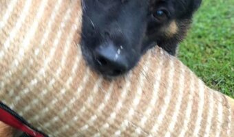 Hľadáme trénerov - 2