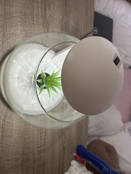 Okrúhle akvárium s lampou - 2