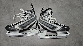 Korcule CCM Vector - 2