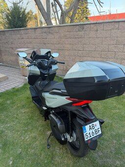 Predám Honda Forza 125 - 2