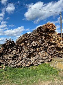 Palivové drevo - odrezky - 2