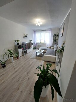 Prenájom 2,5-izbový byt - 2