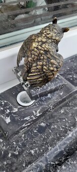 Mramorovy kalamar zdobeny - 2