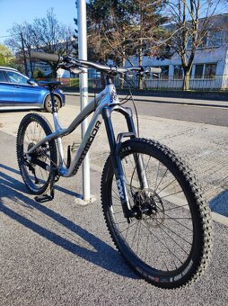 Dartmoor Hornet PRO - 2