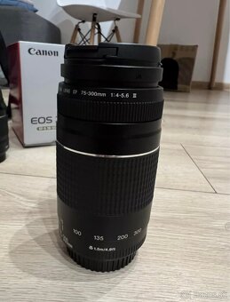 Canon EOS 250D + 18-55mm + 75-300mm - 2