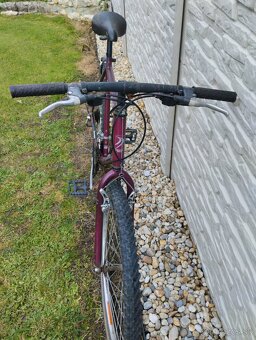 Mestsky bicykel - 2