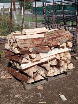 Palivové drevo - 2