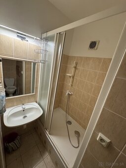 Prenajmem velký 1-izbovy byt - 2