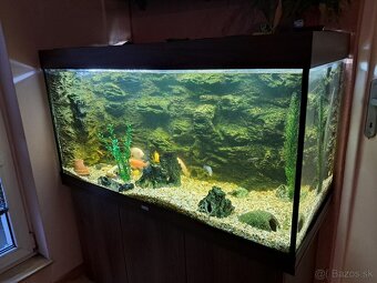 Akvárium Juwel 240l - 2