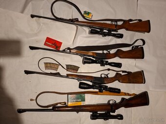 Gulovnice a maloražka - 2