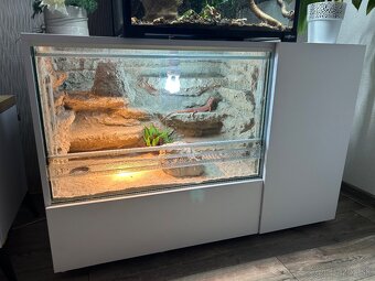 Terarium so skrinkou REZERVOVANE - 2