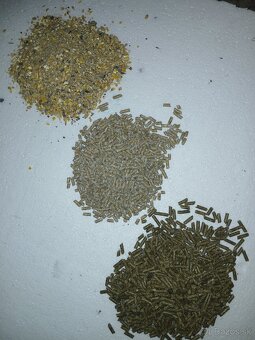 Krmivo pre králiky - 2