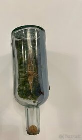 Sklenená fľaška s druhej svetovej vojny - 2