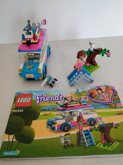 Friends 41333 - 2