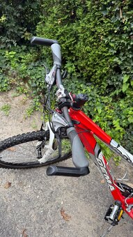 Damsky/detsky bicykel Dema Raveo Lady - 2