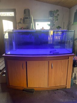 Akvárium - 2