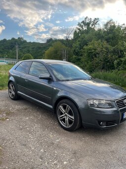Audi A3 8P 1.9 tdi 77kw - 2