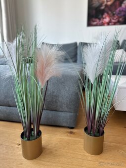 Kvety vyška 65cm x 11 cm priemer kvetináče - 2