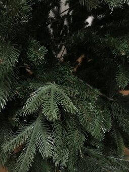 Vianočný stromček - 2