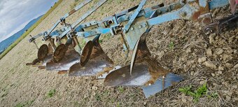 Pluh stvoradličny - 2