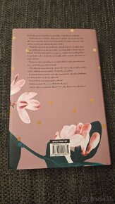 Jodi Picoultova - Veľké malickosti - 2