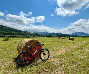 Kellys Gate 50 M 29’ - 2