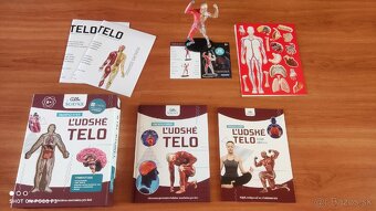 Albi ľudské telo - 2