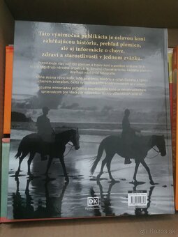 Encyklopédia Kone - 2