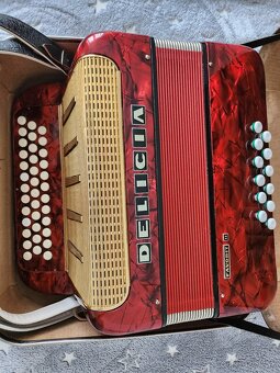 Heligonka,harmonika - 2