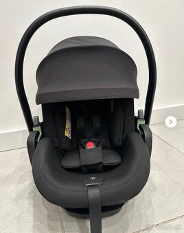 Thule maple - 2