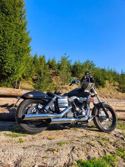 Harley Davidson Street Bob 103 - 2