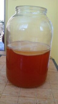 Kombucha - 2